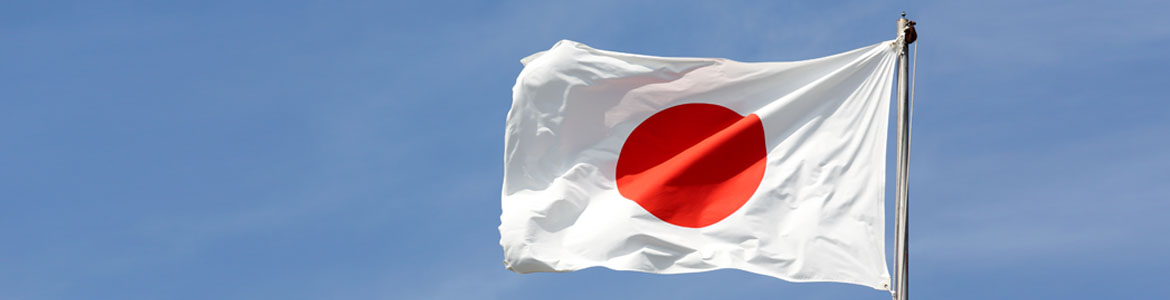 Japanese Flag