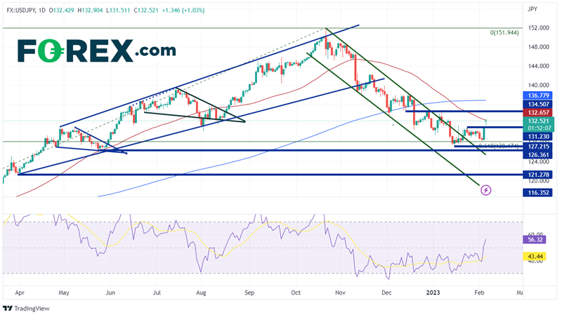 Daily USD/JPY Chart